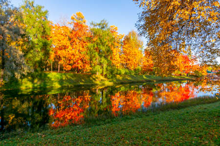 Autumn foliage in Catherine park, Tsarskoe Selo (Pushkin), St. Petersburg, Russiaの写真素材