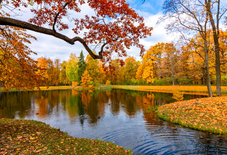Pond in Alexander park in autumn, Pushkin (Tsarskoe Selo), Saint Petersburg, Russia