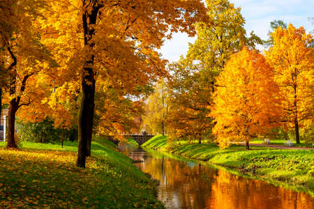 Golden autumnl in Alexander park, Tsarskoe Selo (Pushkin), Saint Petersburg, Russiaの写真素材