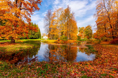 Catherine park in autumn, Tsarskoe Selo (Pushkin), Saint Petersburg, Russiaの写真素材
