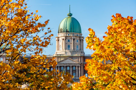 Royal palace of Buda in autumn, Budapest, Hungaryのeditorial素材