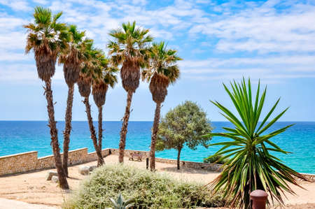 Tarragona beach and promenade in summer, Spain
