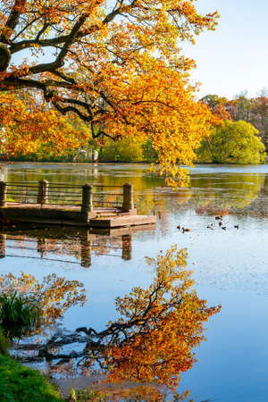 Autumn foliage in Catherine park, Pushkin (Tsarskoe Selo), Saint Petersburg, Russiaの写真素材