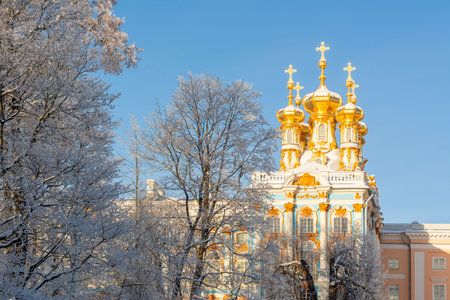 Catherine palace and park in winter, Tsarskoe Selo (Pushkin), Saint Petersburg, Russiaのeditorial素材