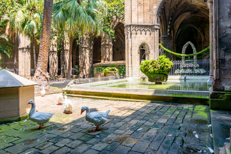 Geese in courtyard of Cathedral of the Holy Cross and Saint Eulalia in Gothic quarter, Barcelona, Spainのeditorial素材