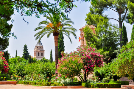 Alhambra gardens in Granada, Spainのeditorial素材