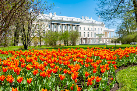 Spring tulips in Catherine park in Tsarskoe Selo (Pushkin), Saint Petersburg, Russiaのeditorial素材