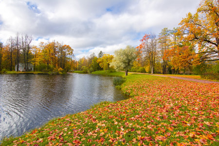 Alexander park in autumn, Pushkin (Tsarskoe Selo), Saint Petersburg, Russiaの写真素材