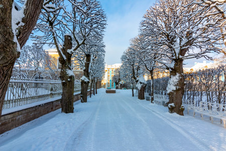 Catherine park on sunny winter day, Tsarskoe Selo, St. Petersburg, Russiaの写真素材