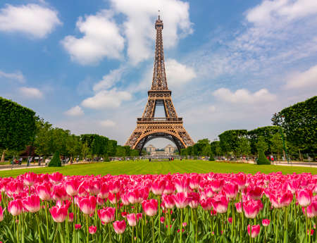 Eiffel Tower and spring tulips on Field of Mars, Paris, Franceの写真素材