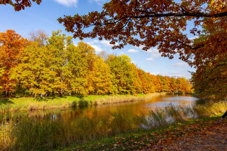 Catherine park in autumn foliage, Pushkin (Tsarskoe Selo), St. Petersburg, Russia