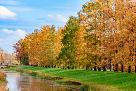 Autumn foliage in Catherine park, Pushkin (Tsarskoe Selo), Saint Petersburg, Russiaのeditorial素材
