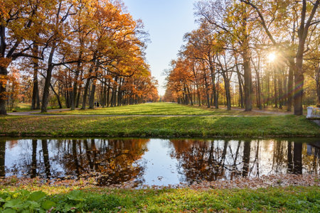Golden autumn (fall) in Alexander park, Tsarskoe Selo (Pushkin), Saint Petersburg, Russiaのeditorial素材