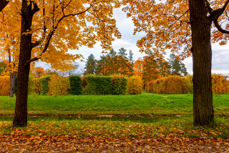 Alexander park in fall, Pushkin, Saint Petersburg, Russiaの写真素材