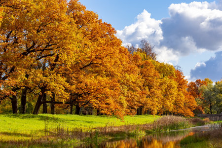 Catherine park in autumn foliage, Pushkin, Saint Petersburg, Russiaの写真素材