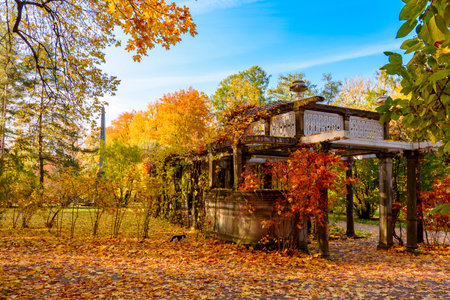 Pergola in private garden of Catherine park in autumn, Tsarskoe Selo (Pushkin), Saint Petersburg, Russiaのeditorial素材