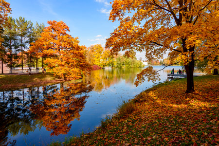 Autumn foliage and Grand pond in Catherine park, Pushkin (Tsarskoe Selo), Saint Petersburg, Russiaのeditorial素材