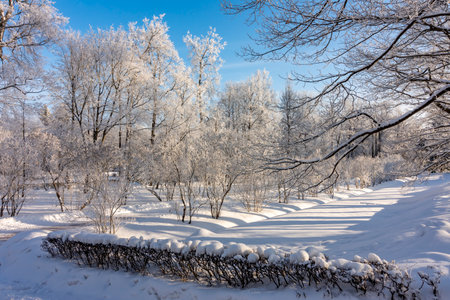 Catherine park in winter, Tsarskoe Selo (Pushkin), St. Petersburg, Russiaのeditorial素材