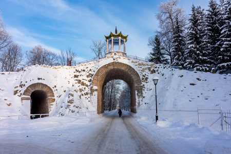 Grand Caprice in Tsarskoe Selo (Pushkin) in winter, St. Petersburg, Russiaのeditorial素材