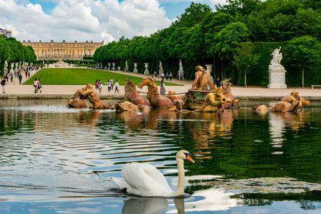 Swan at Apollo fountain in Versailles park, Paris, Franceのeditorial素材