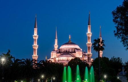 Blue or Sultan Ahmed mosque in center of Istanbul at night, Turkey