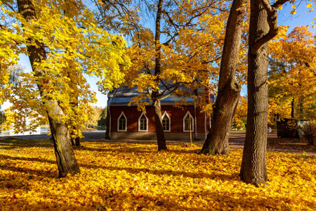 Admiralty building in Catherine park in autumn, Tsarskoe Selo (Pushkin), St. Petersburg, Russiaの写真素材