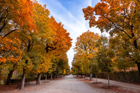 Autumn foliage in Schonbrunn park, Vienna, Austriaの写真素材