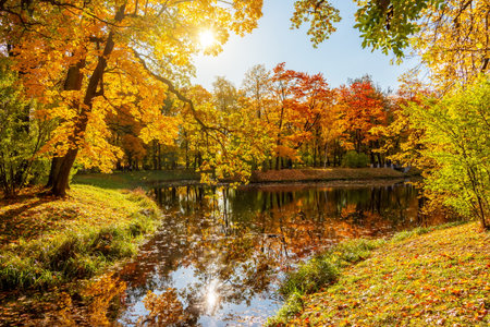 Autumn foliage in Alexander park, Tsarskoe Selo (Pushkin), St. Petersburg, Russiaの写真素材