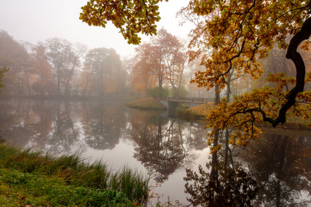 Morning autumn fog in Alexander park in Tsarskoe Selo (Pushkin), St. Petersburg, Russiaの写真素材