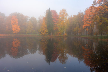 Morning autumn fog in Alexander park in Tsarskoe Selo (Pushkin), St. Petersburg, Russiaの写真素材