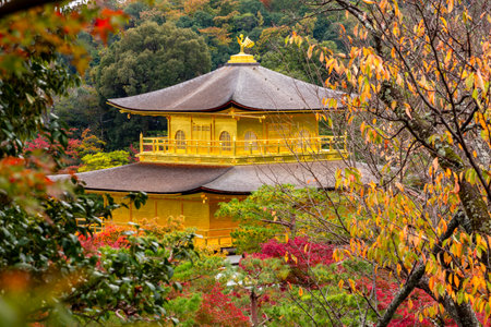 Kinkaku-ji (Golden pavilion) - Zen Buddhist temple in autumn, Kyoto, Japanの写真素材