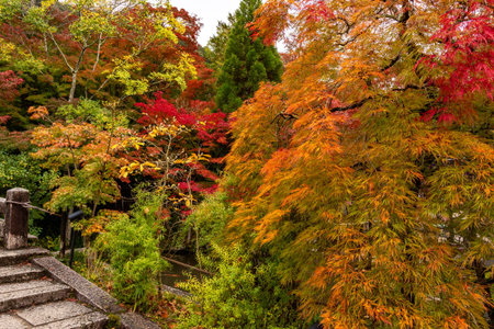 Eikando temple gardens in autumn, Kyoto, Japanの写真素材