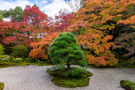 Autumn foliage in gardens of Nanzen-ji temple, Kyoto, Japanの写真素材