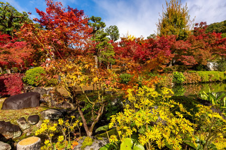 Eikando temple gardens in autumn, Kyoto, Japan