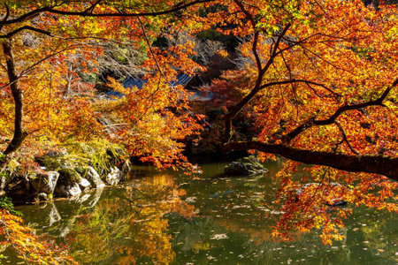 Daigo-ji Sambo-in Teien garden in autumn, Kyoto, Japan