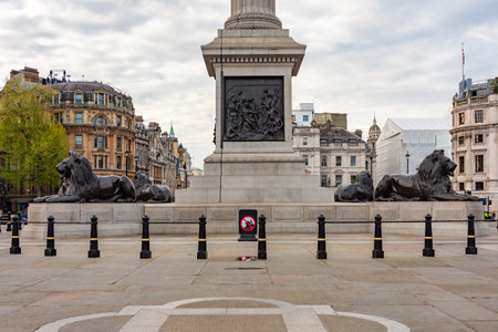 London, UK - 26 April 2024: Trafalgar square lions at Nelson columnの写真素材