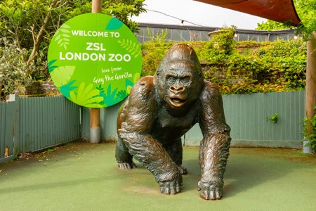 London, UK - 01 May 2024: Gorilla statue at entrance