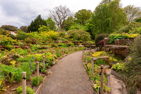 Kew botanical gardens in spring, London, UKの写真素材
