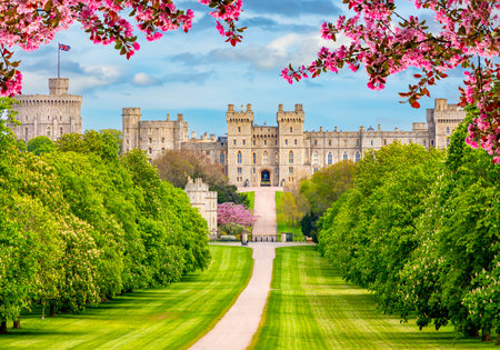 Long walk to Windsor castle in spring, London suburbs, UKの写真素材