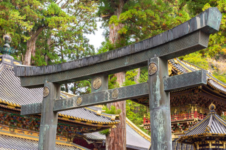 Torii gate in Nikko Toshogu shrine, Japanの写真素材