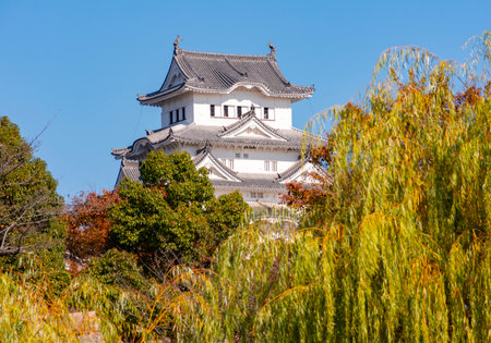 Himeji (White Heron) Castle built in 14th century, Japanの写真素材