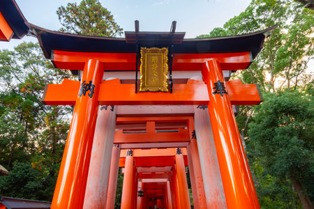Kyoto, Japan - November 20, 2024: Torii gates of Fushimi Inari Taisha shrine in Kyotoの写真素材