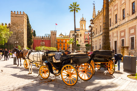 Seville, Spain - 28 March 2025: Horse carriages on Triumph Square (Plaza del Triumfo) in Sevilleの写真素材