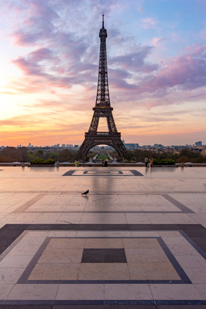 Eiffel tower seen from Trocadero at sunrise, Paris, France