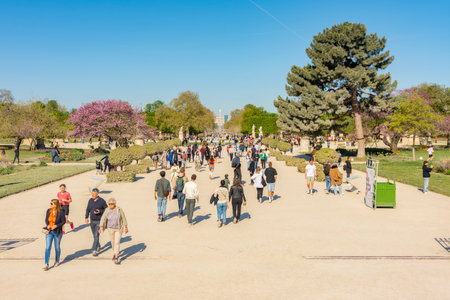 Paris, France - 06 April 2025: People walking along Grand central alley of Tuileries gardens in springの写真素材