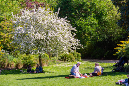 Paris, France - 06 April 2025: People having picnic in spring at Champs Elysees avenue in Parisの写真素材