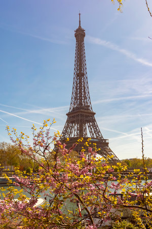 Eiffel tower and Seine river in spring, Paris, Franceの写真素材
