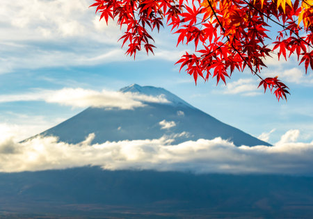 Red maple leaves in autumn with mount Fuji at background, Fujikawaguchiko, Japan