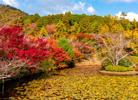 Gardens of Ryoan-ji (Dragon at peace) temple in autumn, Kyoto, Japan