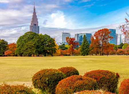 Shinjuku Gyoen garden in autumn, Tokyo, Japanの写真素材